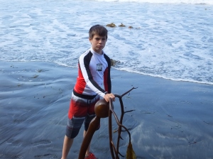 Josh found this large kelp at Torrey Pines State Beach. Dinner?